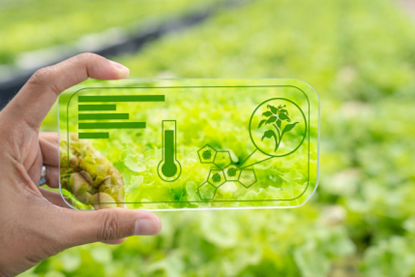 The Rise of AgriTech: Revolutionizing Agriculture for a Sustainable Future